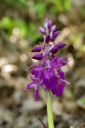 IMGP5856-1024.jpg