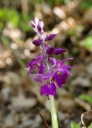IMGP5860-1024.jpg
