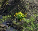 IMGP5875-1024.jpg