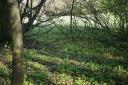 IMGP5894-1024.jpg