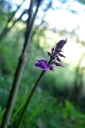 IMGP5919-1024.jpg