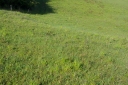 IMGP5925-1024.jpg