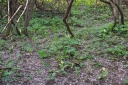 IMGP5951-1024.jpg