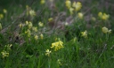 IMGP5996-1024.jpg
