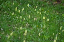 IMGP6004-1024.jpg