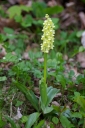 IMGP6010-1024.jpg