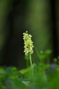 IMGP6014-1024.jpg