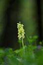IMGP6015-1024.jpg
