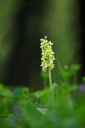 IMGP6016-1024.jpg