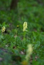 IMGP6024-1024.jpg
