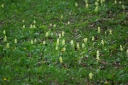IMGP6025-1024.jpg