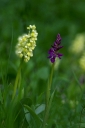 IMGP6028-1024.jpg