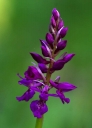 IMGP6033-1024.jpg