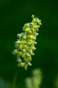 IMGP6034-1024.jpg