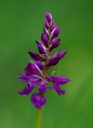 IMGP6036-1024.jpg