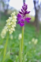 IMGP6051-1024.jpg