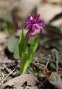 IMGP6070-1024.jpg