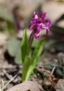 IMGP6072-1024.jpg