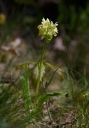 IMGP6075-1024.jpg