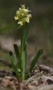 IMGP6078-1024.jpg