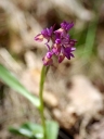 IMGP6086-1024.jpg