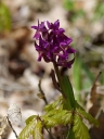 IMGP6092-1024.jpg