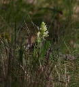 IMGP6108-1024.jpg