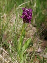 IMGP6109-1024.jpg
