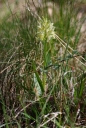 IMGP6112-1024.jpg