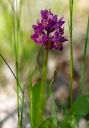 IMGP6119-1024.jpg