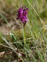 IMGP6123-1024.jpg
