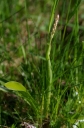 IMGP6131-1024.jpg