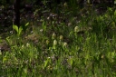 IMGP6136-1024.jpg