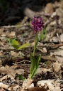 IMGP6137-1024.jpg