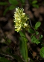 IMGP6145-1024.jpg