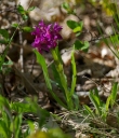 IMGP6146-1024.jpg