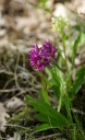 IMGP6147-1024.jpg