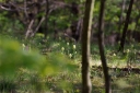 IMGP6156-1024.jpg