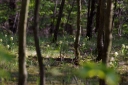 IMGP6157-1024.jpg