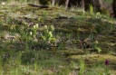 IMGP6158-1024.jpg