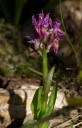 IMGP6161-1024.jpg