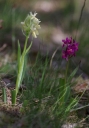 IMGP6166-1024.jpg