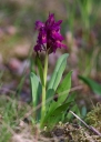 IMGP6168-1024.jpg