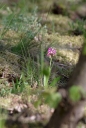 IMGP6169-1024.jpg