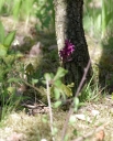 IMGP6170-1024.jpg
