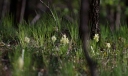 IMGP6173-1024.jpg
