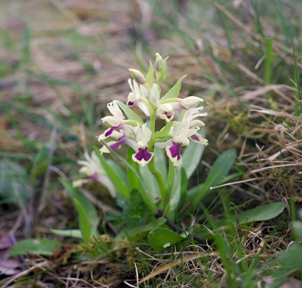 IMGP6892-1024.jpg