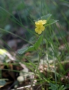 Název souboru=IMGP6851-1024.jpg
Velikost souboru=48KB
Rozměry=797x1024
Datum přidání=16. Srpen 2026 IMGP6851-1024.jpg