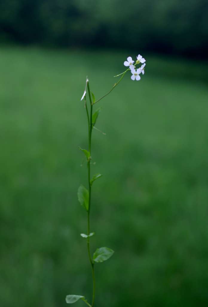 IMGP7224-1024.jpg