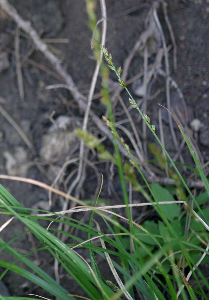 IMGP7306-1024.jpg